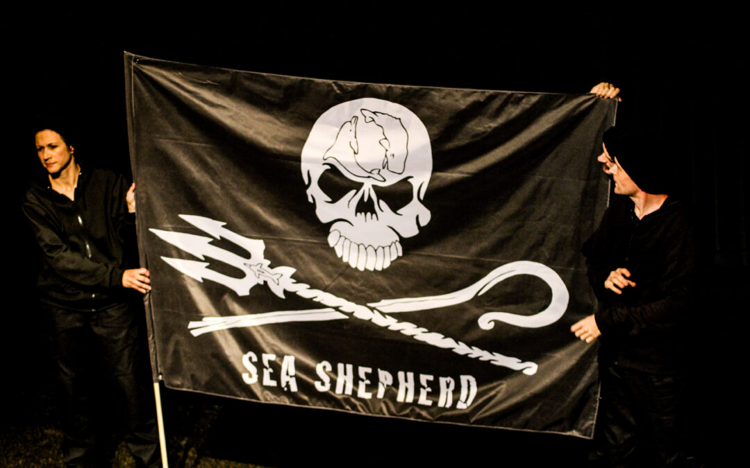 Sea… Shepherd 77 Les Bergers des mers